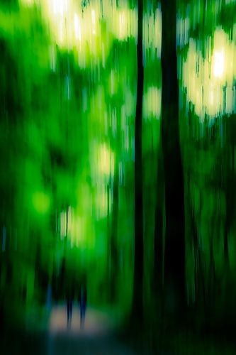 Wandelaars in het bos