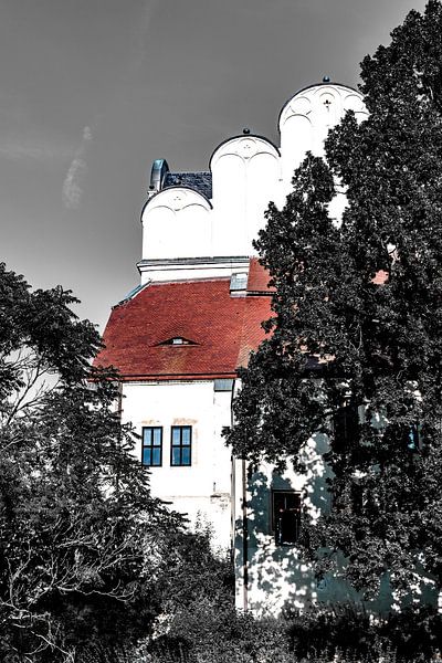 The Halle Cathedral by Dietmar-Kookaburra Photography