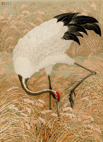Saruskraanvogel in rijstveld, G.A. Audsley van Meesterlijcke Meesters