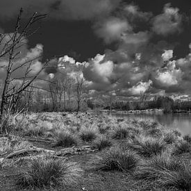 Black and white landscape Broekpolder by Marcel van Berkel