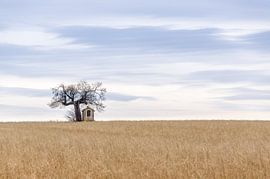 Lonely chapel by Dirk Smets