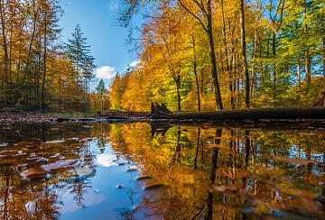 The mirror by Eelke Brandsma