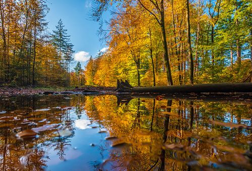 Le miroir
