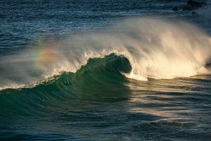 Une vague arc-en-ciel dans le Pacifique, au large des côtes australiennes