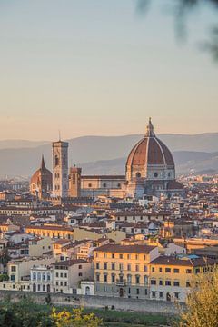 De dom in Florence, Italië van Bianca Kramer