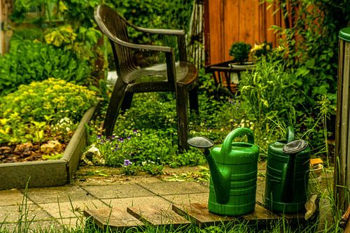 Met Analoge Lens Bosbloemenweidemist