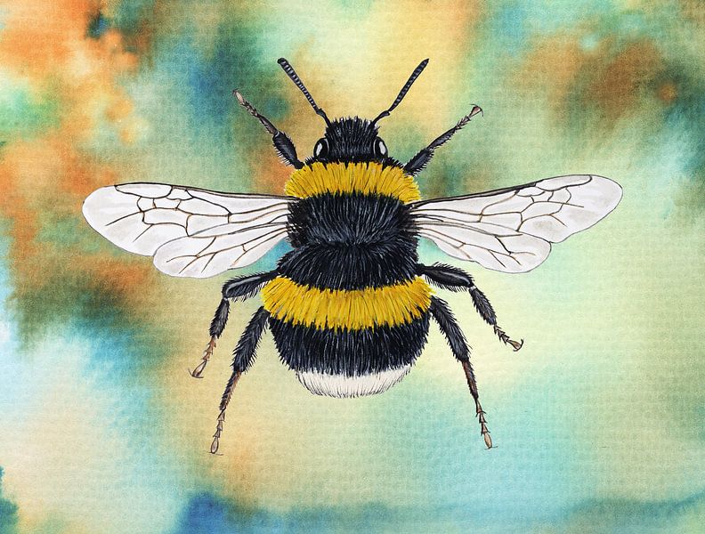 Bumblebee by Jasper de Ruiter