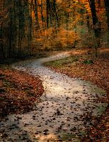 Route vers ......