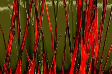 Red Grass by De Rover
