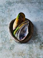 Green-lipped mussel