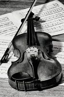 violin in black and white
