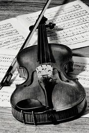 violin in black and white by Klaartje Majoor