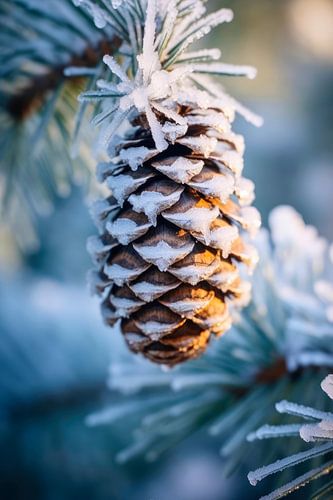 Impressions d'hiver No 3