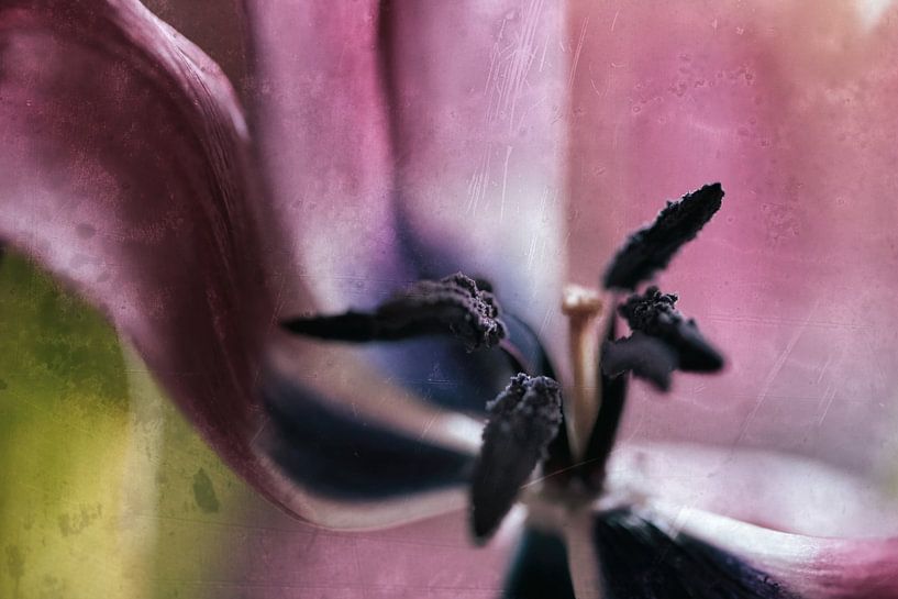 Inner values by Petra Dreiling-Schewe