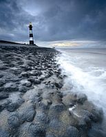 Wildes Meer Breskens