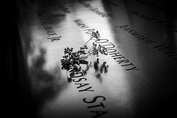 Monument WTC van GREY