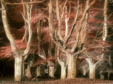 Deep Connection van Lars van de Goor