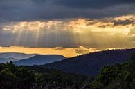 Zonsondergang Zuid-Afrika, Kwazulu Natal van Hermineke Pijls thumbnail