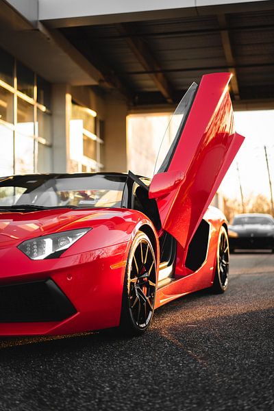 Super Cars by Hello Pompoyo