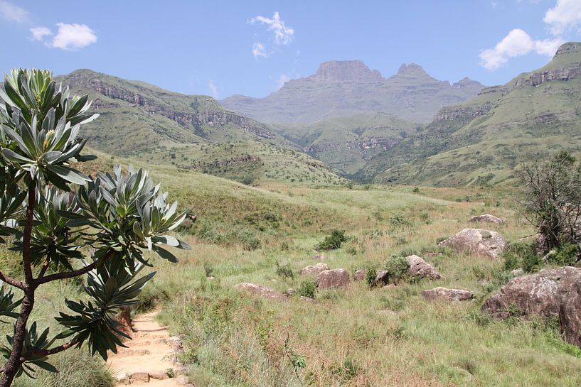 Drakensbergen Zuidafrika von Jan Roodzand