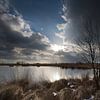 Ven en berken op de Heide van Ingrid Van Damme fotografie