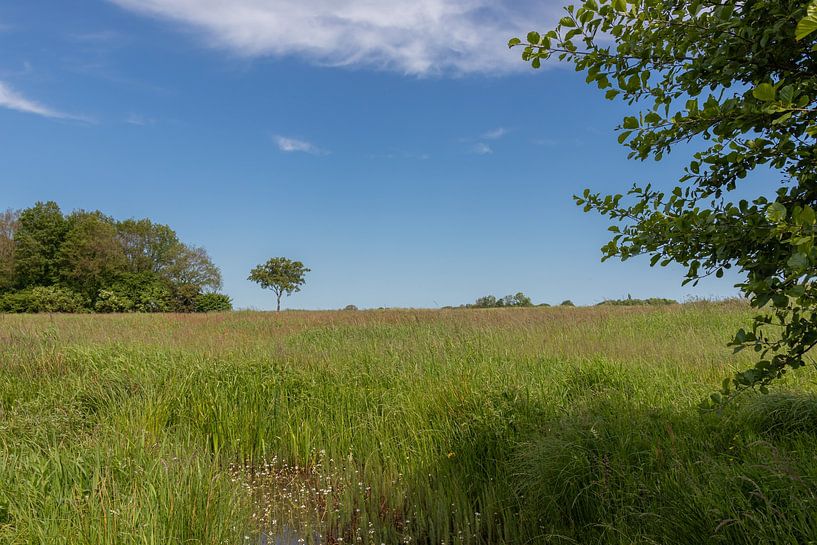 Groningen and Drenthe Veenkoloniën by Johan Mooibroek