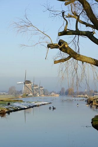Molendriegang in Leidschendam