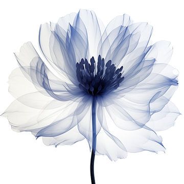 Blauwe bloem van Bert Nijholt