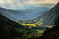 Paysage dans la vallée du cacao, Colombie