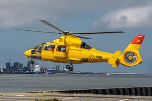 Airbus Helicopters - AS365N3 Dauphin 2, ein SAR-Hubschrauber (Search and Rescue) von Noordzee Heliko