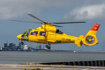 Airbus Helicopters - AS365N3 Dauphin 2, ein SAR-Hubschrauber (Search and Rescue) von Noordzee Heliko von Jaap van den Berg