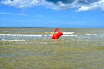 Red floating demarcation buoys at sea by Lilly Wonderz