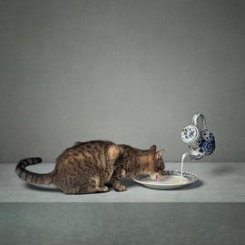 Dutch milk (gezien bij interieurtalent gezocht met vtwonen) van Mariska Vereijken