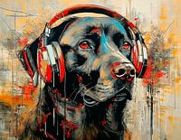 Labrador with headphones