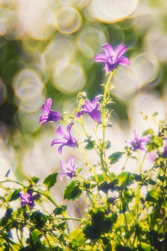 Retro spring flowers