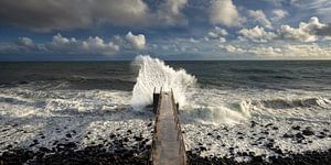 Défiant le vent et les vagues