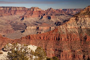 Grand Canyon van Peter Schickert