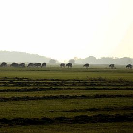 Pothole time on the Frisian Land by hetty'sfotografie