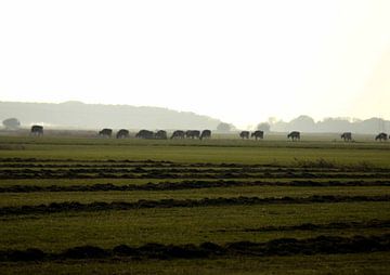Kuil tijd op het Friese Land van hetty'sfotografie