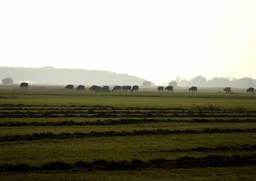 Pothole time on the Frisian Land by hetty'sfotografie