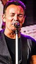 Bruce Springsteen & the E Street Band  van Shui Fan thumbnail