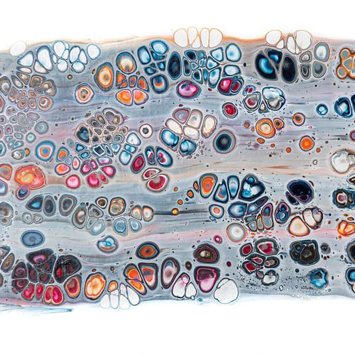 Go with the flow. van Ilse Smit