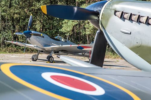 Königliche Luftwaffe und Königliche Luftwaffe