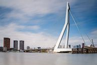 Die Erasmusbrücke in Rotterdam von Menno Schaefer Miniaturansicht