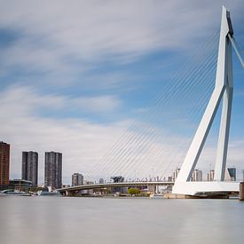 Die Erasmusbrücke in Rotterdam von Menno Schaefer
