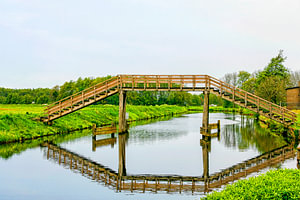 Hoogholtje in Groningen