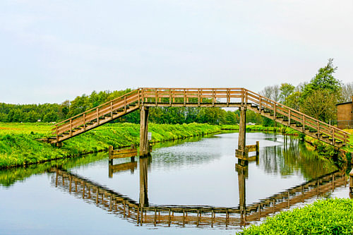 Hoogholtje in Groningen