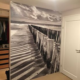 Customer photo: Pole heads in black & white by Zeeland op Foto, as wallpaper