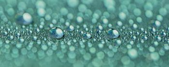 Türkisfarbene Abstraktion: Reflexion von Wassertropfen