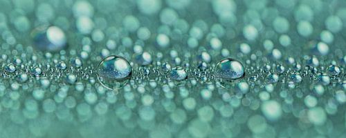 Abstraction turquoise : Reflet de gouttes d'eau sur Marjolijn van den Berg